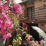 Mizzicahome Solemare Catania