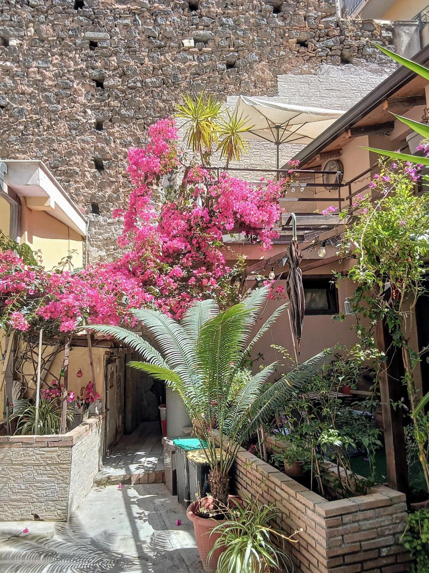 Mizzicahome Solemare * Catania