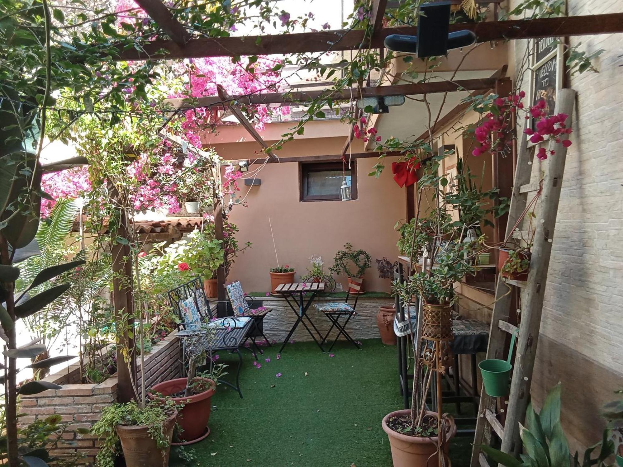 Mizzicahome Solemare *